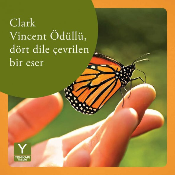 Çocuklar ve İçimizdeki Çocuk İçin Terapötik Metaforlar "Kitap söyleşisi hediyeli" - 3