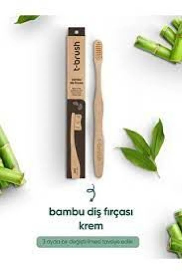 T-brush Doğal Bambu Vegan Diş Fırçası Krem Renk Orta Sert