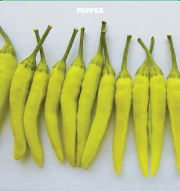 Yerli Ata Tohumu Sarı Süs Biberi 50 Adet ürün görseli 1