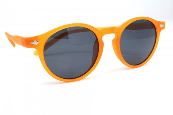 1064 C131 60 Polo Exchange Polarize Güneş Gözlüğü - Resim 2