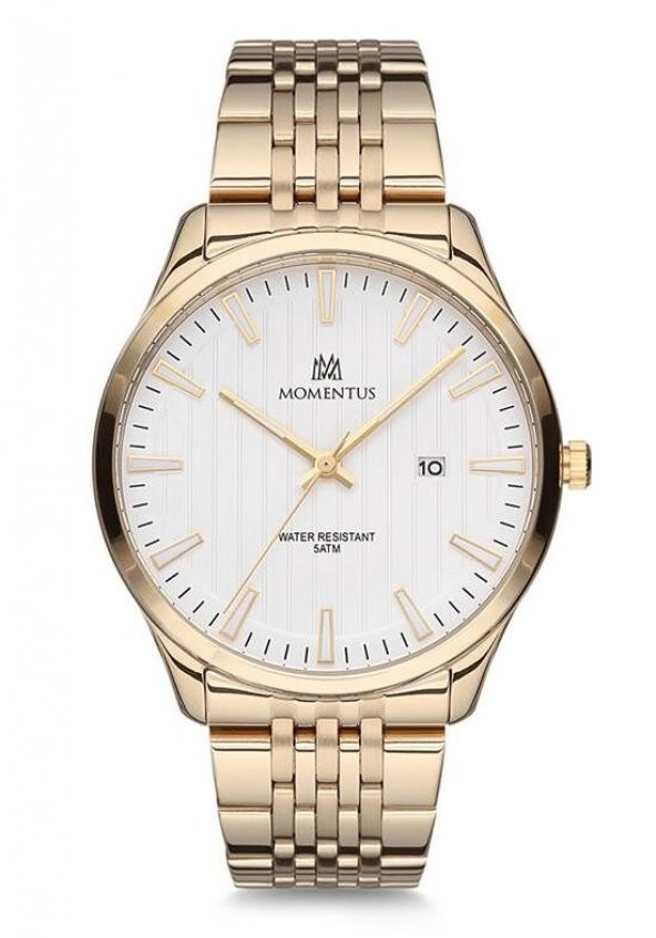 Momentus KC252G-02SG Erkek Kol Saati ürün görseli