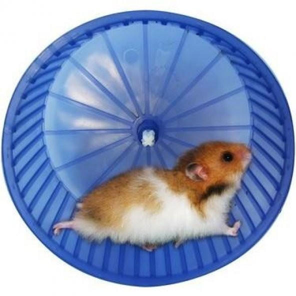 ANS Hamster Gonzales Egzersiz Çarkı 14 cm