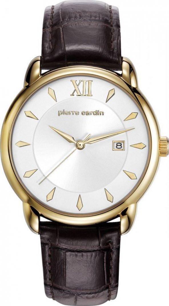 Pierre Cardin PC901721F03 Erkek Kol Saati