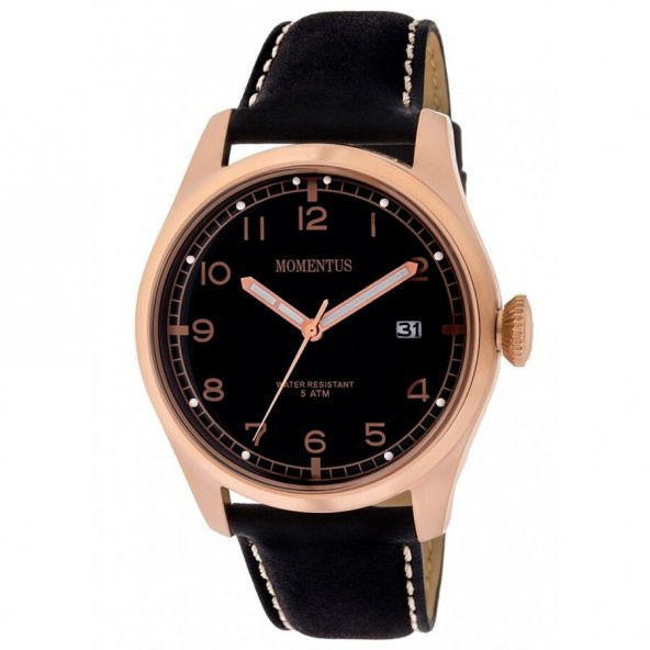 Momentus FS321R-04BR Erkek Kol Saati ürün görseli