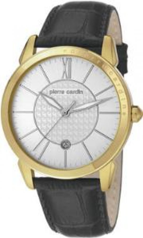 Pierre Cardin PC105911F05 Erkek Kol Saati