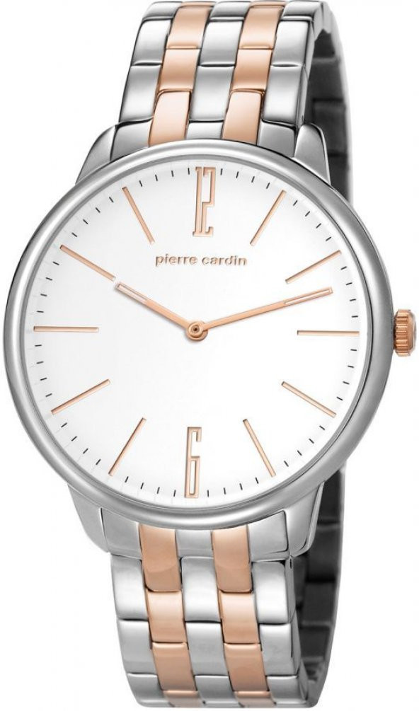 Pierre Cardin PC106991F08 Erkek Kol Saati
