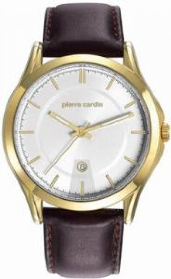 Pierre Cardin PC107221F03 Erkek Kol Saati ürün görseli