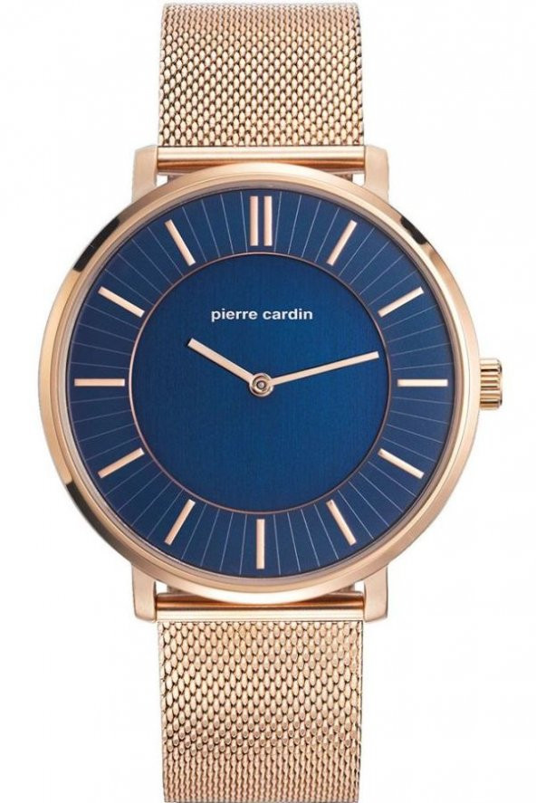 Pierre Cardin PC107871F06 Erkek Kol Saati ürün görseli