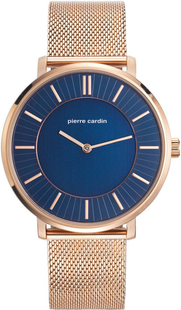 Pierre Cardin PC107871F06 Erkek Kol Saati - Resim 2