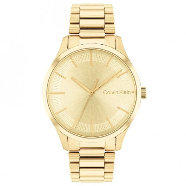 Calvin Klein CK25200043 Kadın Kol Saati