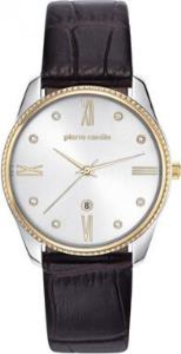 Pierre Cardin PC107572F03 Kadın Kol Saati
