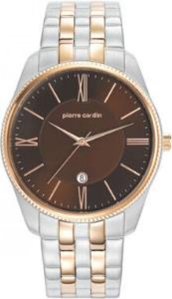 Pierre Cardin PC107571F08 Erkek Kol Saati