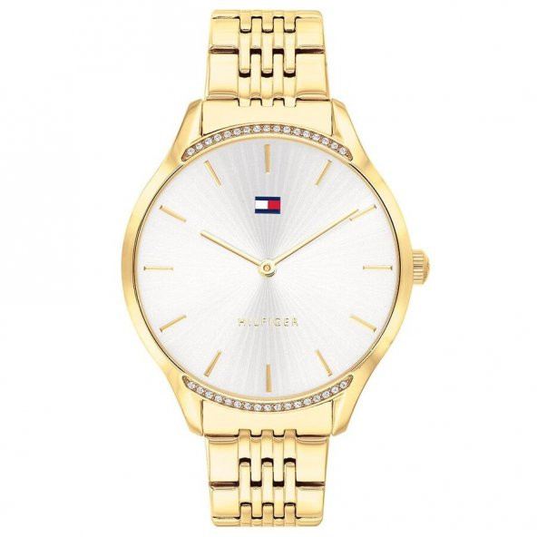 Tommy Hilfiger TH1782211 ürün görseli