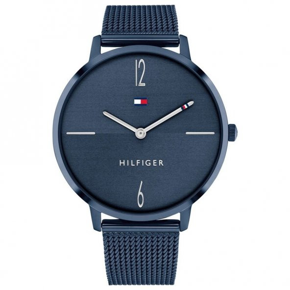 Tommy Hilfiger TH1782341 ürün görseli