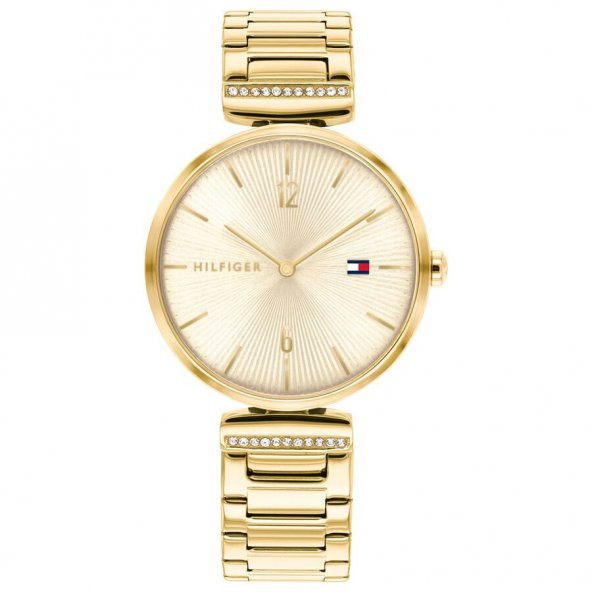 Tommy Hilfiger TH1782272 ürün görseli