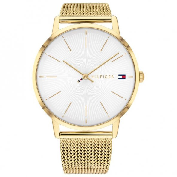 Tommy Hilfiger TH1782245 ürün görseli
