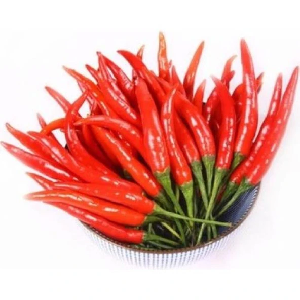 Hobi Tohumu Çok Acı Hint Biberi 50 Adet ürün görseli 1