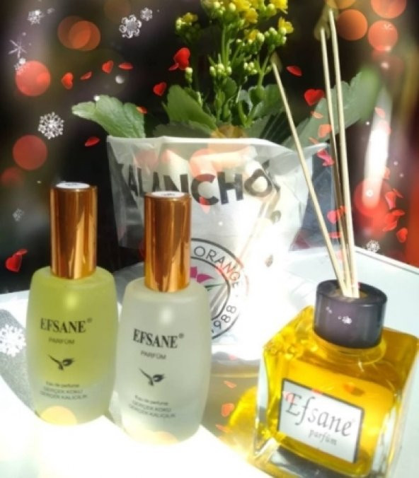 Efsane Bambu Çubuklu Oda Kokusu - GÜL  Kokusu 100 ML - 2
