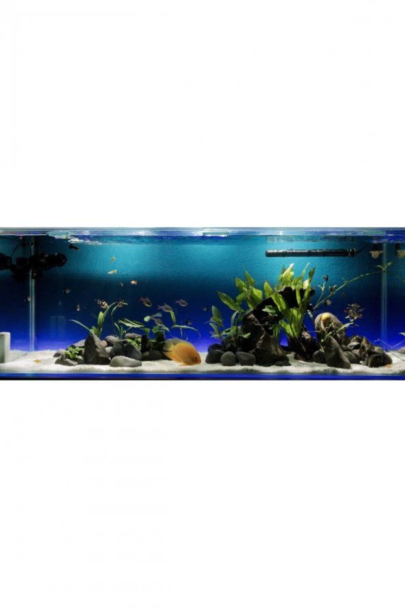 AQUAMUR  Akvaryum Osmoz Su Üretim Filtre Seti 80 Gpd Ana Membran Filtre - 3