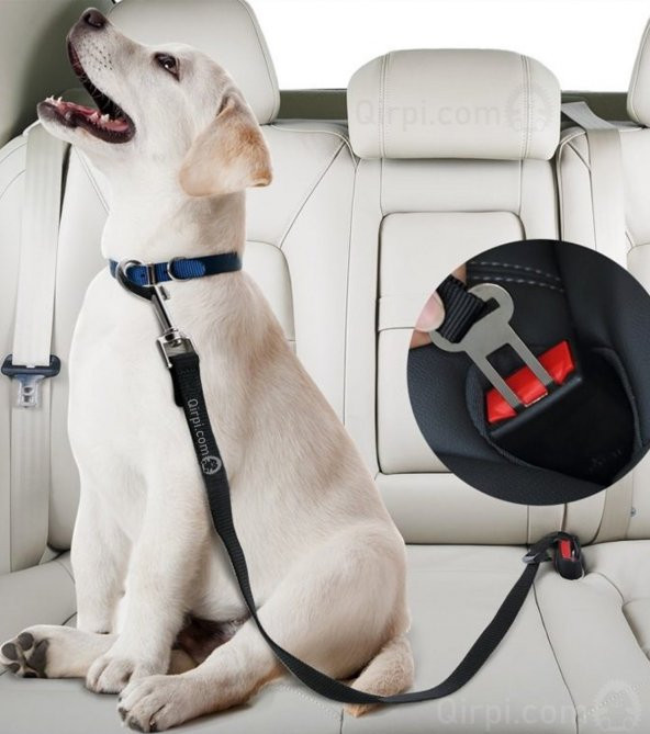 1 Adet Kedi Köpek İçin Araba Emniyet Kemer Tokası - 5