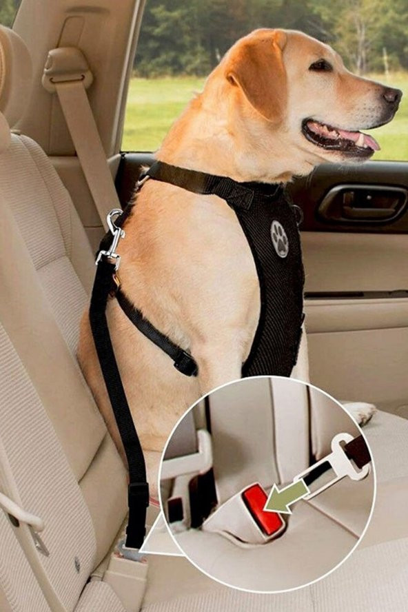 1 Adet Kedi Köpek İçin Araba Emniyet Kemer Tokası - 6