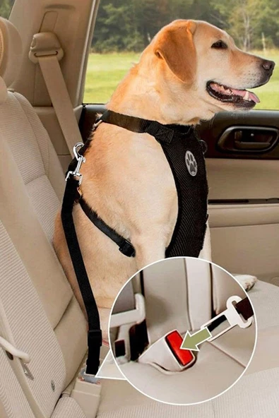 10 Adet Kedi Köpek İçin Araba Emniyet Kemer Tokası - 2