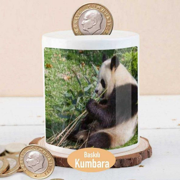 Bambu Yiyen Sevimli Panda Para Birikim Kumbarası-135165