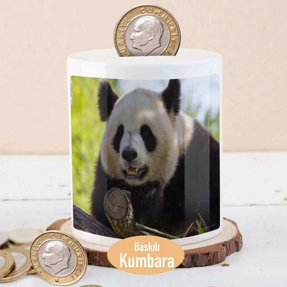 Ormanda Neşeli Sevimli Panda Para Birikim Kumbarası-135190