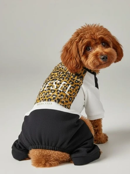 Diesel Leo Leopar Desenli Penye Köpek Tulum | Tüy Dökülmesini Azaltmaya Yardımcı | Küçük Irklar İçin Premium Köpek Kıyafeti - Resim 2