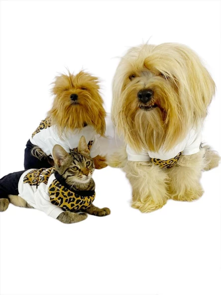 Diesel Leo Kedi Tulumu Kedi Elbisesi - 3