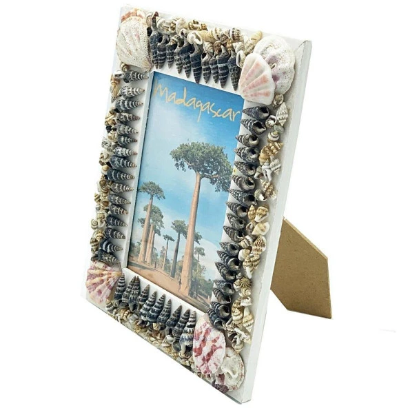 Dekoratif Ahşap Marin Deniz Kabuklu Resim Çerçevesi 16x22cm No:5 - 2