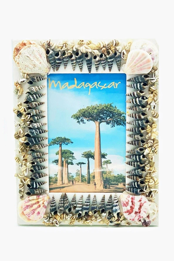 Dekoratif Ahşap Marin Deniz Kabuklu Resim Çerçevesi 16x22cm No:5 - 3