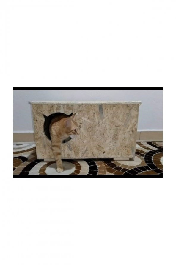 Dış Mekan Kedi Evi  Kedi Kulübesi Barınak Yuva Sudan Etkilenmez - Resim 5