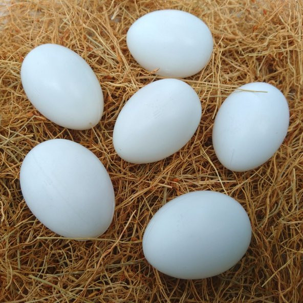20 Adet Pvc Sahte Tavuk Yumurtası Tavuk Folluk Yapay Yumurta ( Sarı -Beyaz) - 2