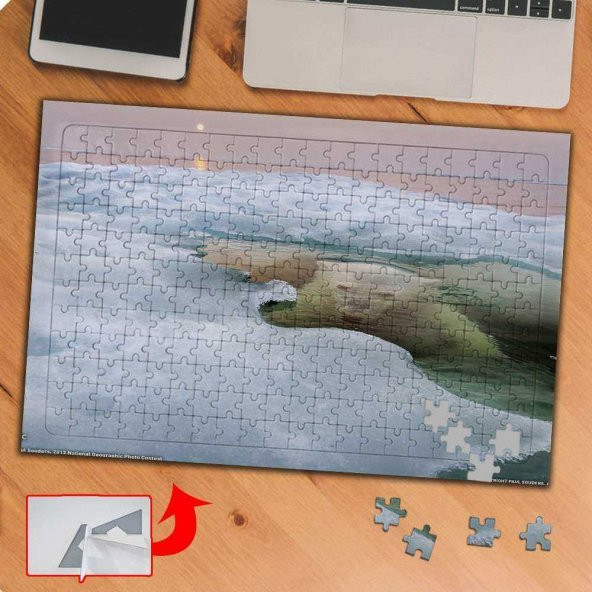 Kutuplardaki Kutup Ayısı 240 Parça Puzzle Yapboz Tablo-p048 - 1