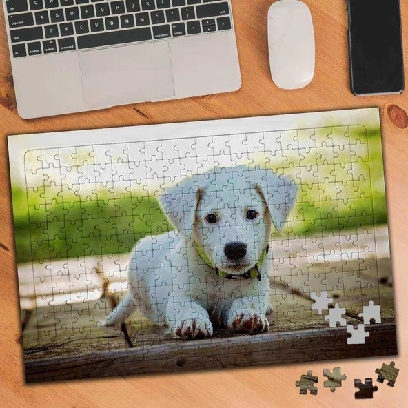 Beyaz Tüylü Sevimli Yavru Köpek 240 Parça Puzzle Yapboz-75137