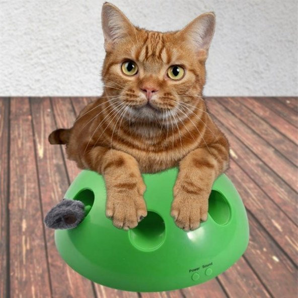 BUFFER® 360 Derece Dönebilen Değiştirilebilir İki Aparatlı Catch The Mouse Fare Yakalama Oyuncağı - 3