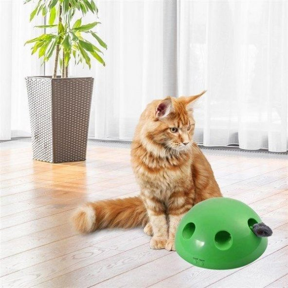 BUFFER® 360 Derece Dönebilen Değiştirilebilir İki Aparatlı Catch The Mouse Fare Yakalama Oyuncağı - 2