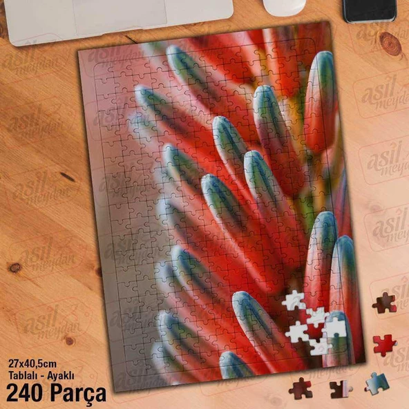 Asil Hobi Flower- Çiçek - Pembe - Bitki - Peyzaj Yapboz -Ayak Destekli Çerçeveli 240 Parça Puzzle