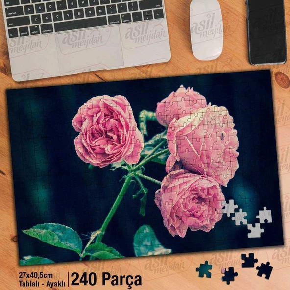 Asil Hobi Pembe Güller - Çiçek - Bitki - Peyzaj Yapboz - Ayak Destekli Çerçeveli 240 Parça Puzzle