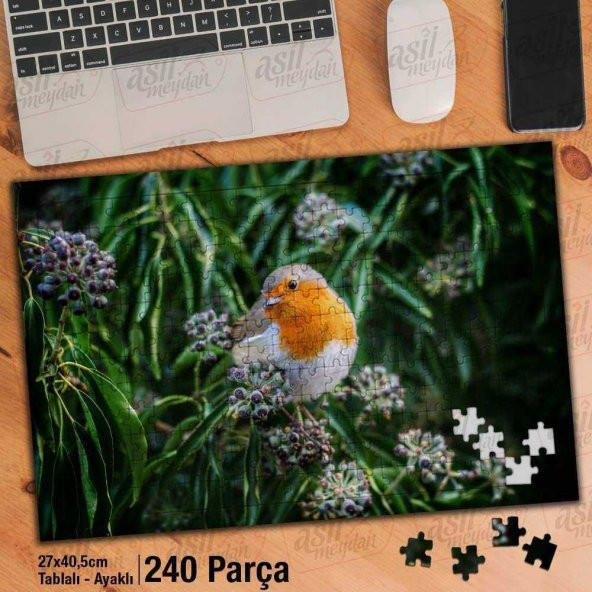 Asil Hobi Harika Kuşlar-Gökkuşağı İspinoz-Kuş Yapboz -Ayak Destekli Çerçeveli 240 Parça Puzzle - 1