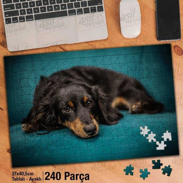 Asil Hobi Siyah Kahve Renkli Sevimli Yatan Köpek Yapboz - Ayak Destekli Çerçeveli 240 Parça Puzzle