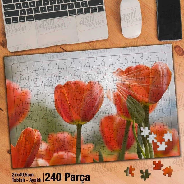 Asil Hobi Turuncu Laleler - Bitki -Çiçek -Doğa Yapboz - Ayak Destekli Çerçeveli 240 Parça Puzzle