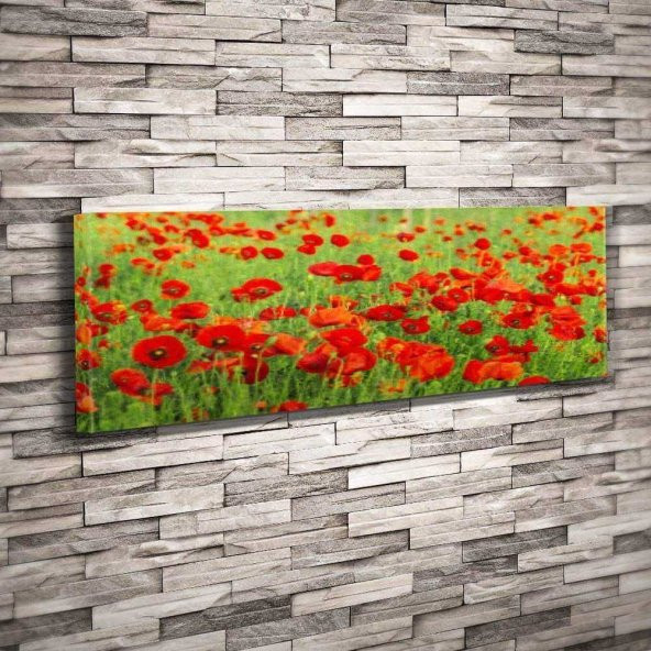 Kırmızı Gelincik Çiçeği - Kır Çiçekleri - Doğa - Manzara - Bitki - Dekoratif Kanvas Tablo 25x90 cm - 1
