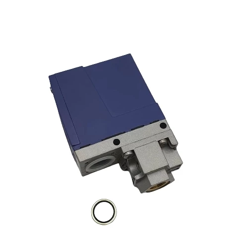 Hat Tipi Basınç Şalteri 30 - 500Bar - 1/4 - Resim 2