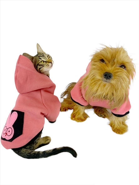Student Rabbit Sweatshirt Köpek Kıyafeti Köpek Elbisesi - 6