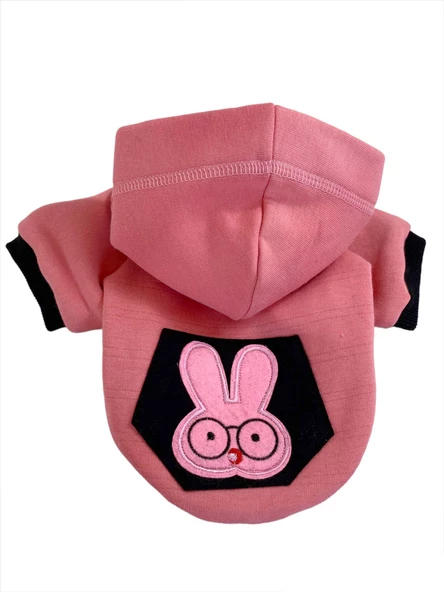 Student Rabbit Sweatshirt Köpek Kıyafeti Köpek Elbisesi - 4