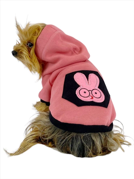 Student Rabbit Sweatshirt Köpek Kıyafeti Köpek Elbisesi - 7