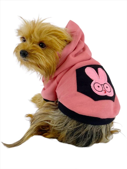 Student Rabbit Sweatshirt Köpek Kıyafeti Köpek Elbisesi