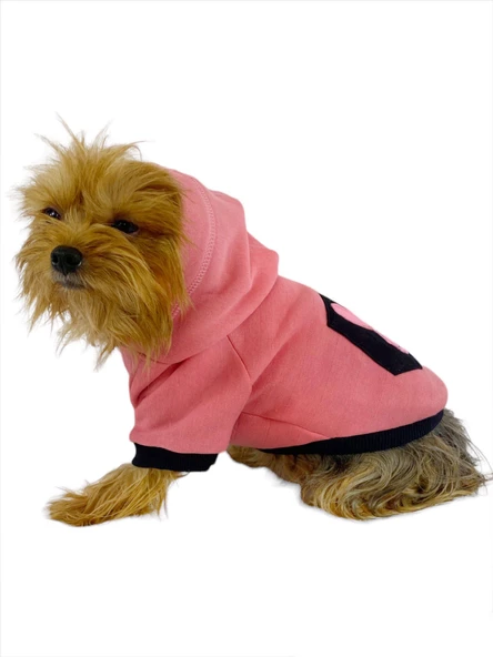 Student Rabbit Sweatshirt Köpek Kıyafeti Köpek Elbisesi - 2